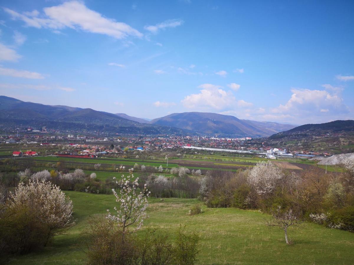 Villa Casa Livada Bunicii Tîrgu Ocna Exterior foto