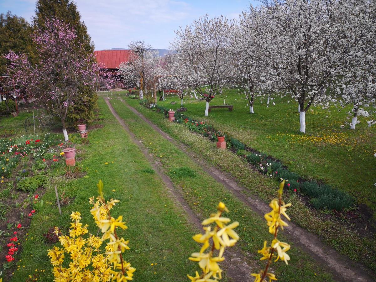 Villa Casa Livada Bunicii Tîrgu Ocna Exterior foto