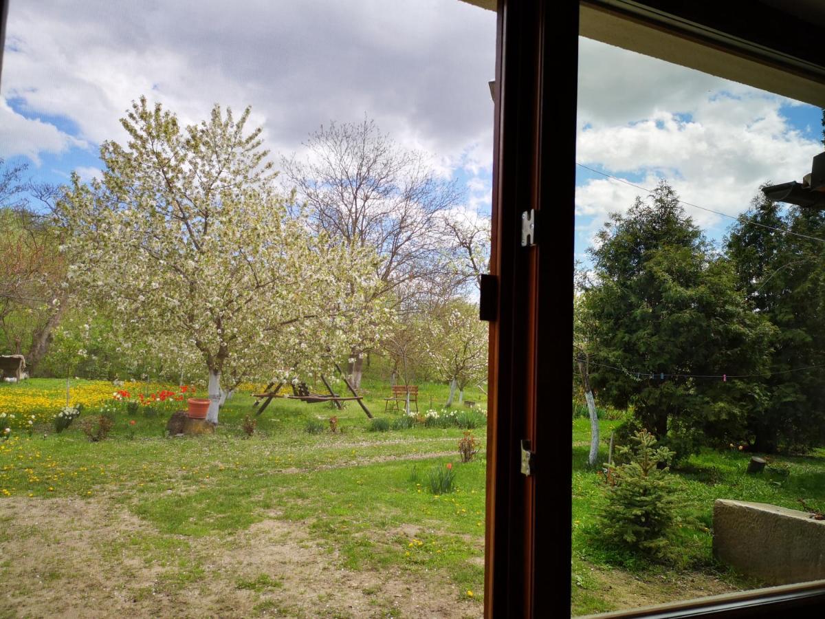 Villa Casa Livada Bunicii Tîrgu Ocna Exterior foto