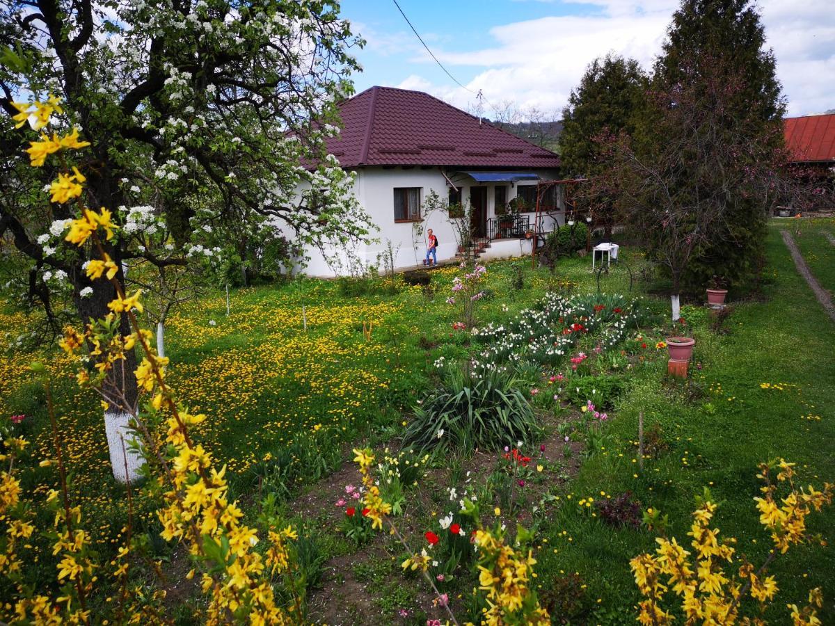 Villa Casa Livada Bunicii Tîrgu Ocna Exterior foto