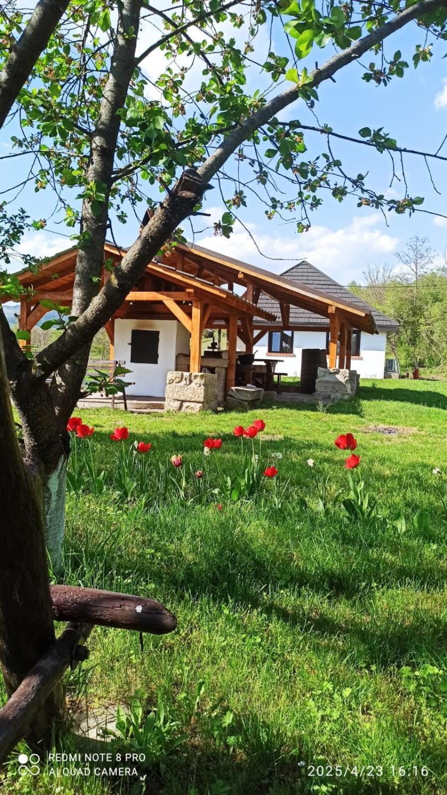 Villa Casa Livada Bunicii Tîrgu Ocna Exterior foto