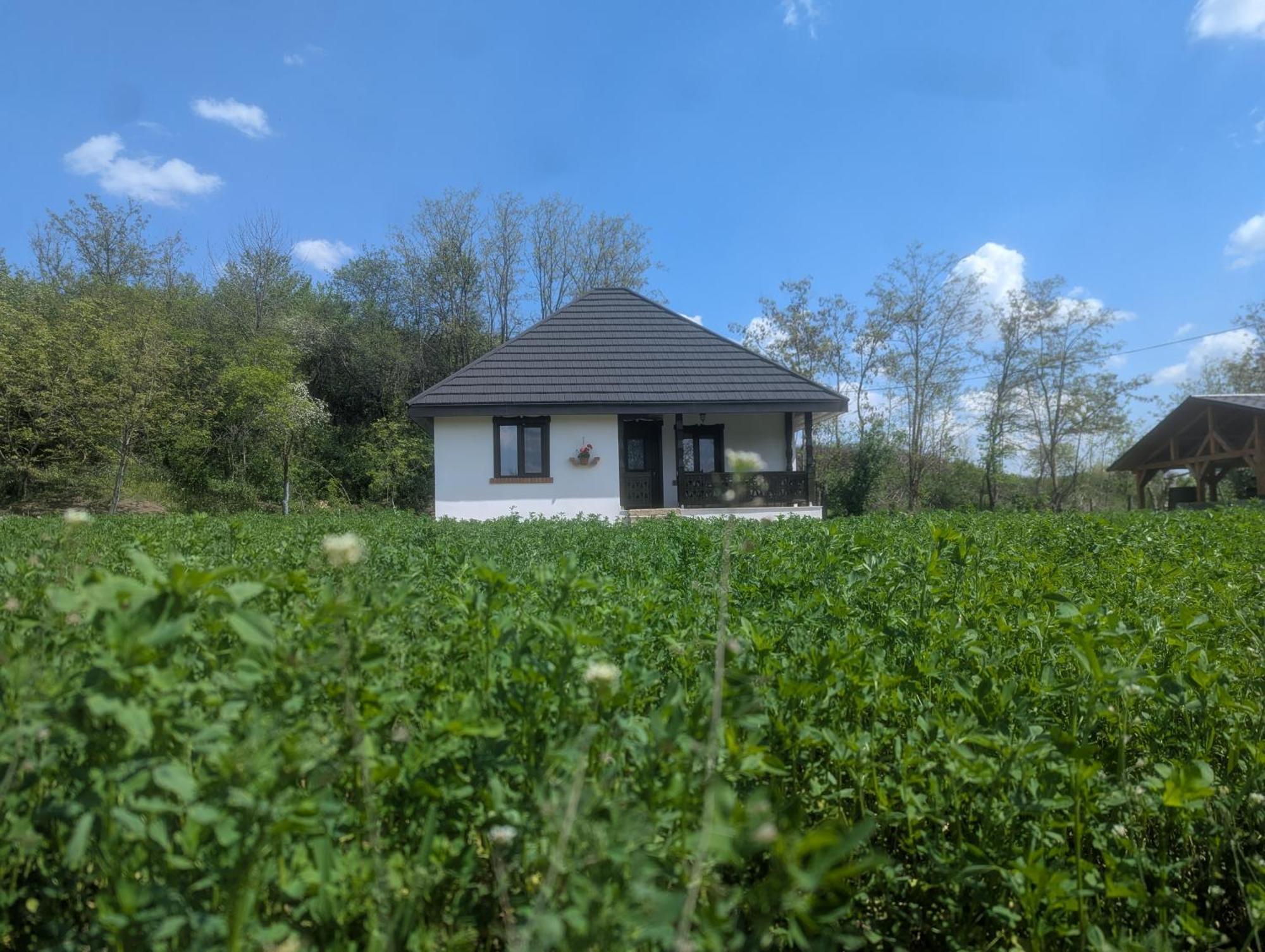Villa Casa Livada Bunicii Tîrgu Ocna Habitación foto